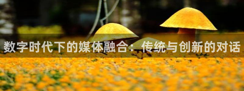 数字时代下的媒体融合：传统与创新的对话