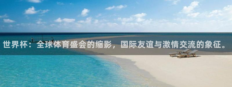 世界杯：全球体育盛会的缩影，国际友谊与激情交流的象征。