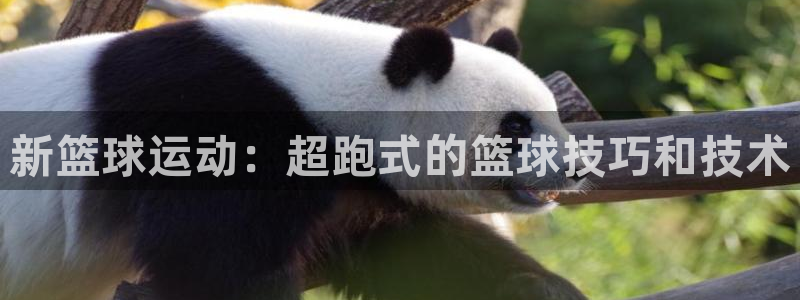 新篮球运动：超跑式的篮球技巧和技术