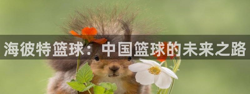 海彼特篮球：中国篮球的未来之路