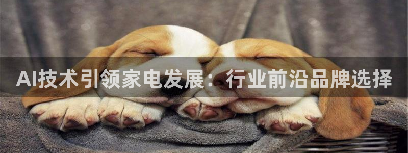 AI技术引领家电发展：行业前沿品牌选择