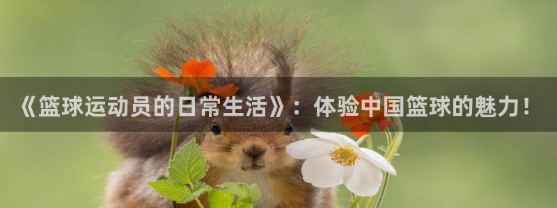 《篮球运动员的日常生活》：体验中国篮球的魅力！