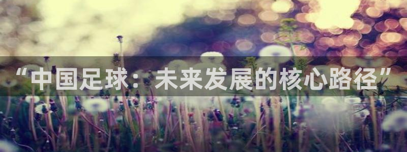 “中国足球：未来发展的核心路径”