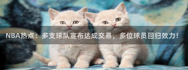 NBA热点：多支球队宣布达成交易，多位球员回归效力！