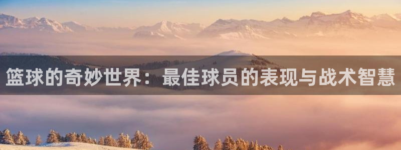 篮球的奇妙世界：最佳球员的表现与战术智慧