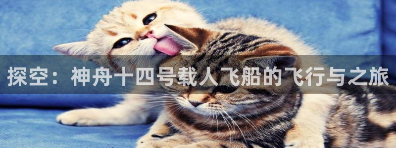 探空：神舟十四号载人飞船的飞行与之旅