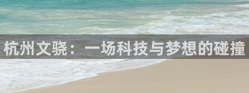 杭州文骁：一场科技与梦想的碰撞
