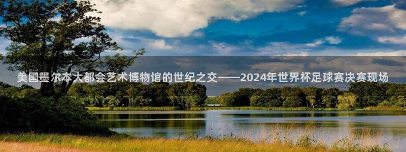 美国墨尔本大都会艺术博物馆的世纪之交——2024年世界杯足球赛决赛现场