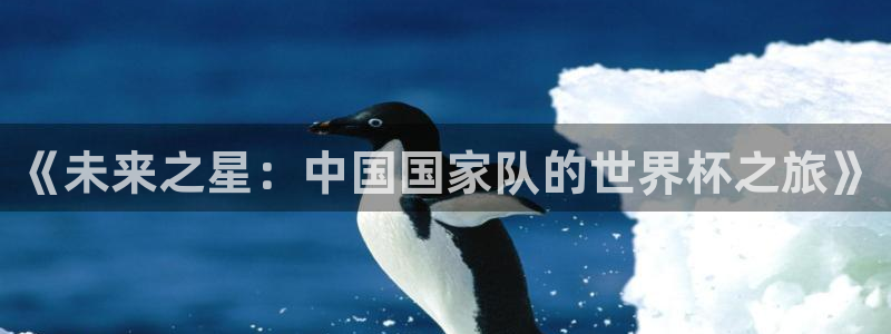 《未来之星：中国国家队的世界杯之旅》