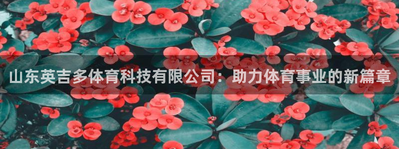 山东英吉多体育科技有限公司：助力体育事业的新篇章