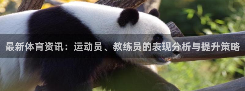 最新体育资讯：运动员、教练员的表现分析与提升策略