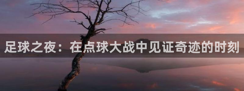 足球之夜：在点球大战中见证奇迹的时刻