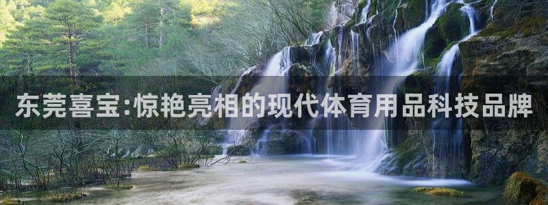 东莞喜宝:惊艳亮相的现代体育用品科技品牌
