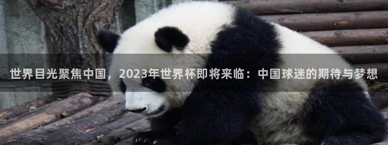 世界目光聚焦中国，2023年世界杯即将来临：中国球迷的期待与梦想