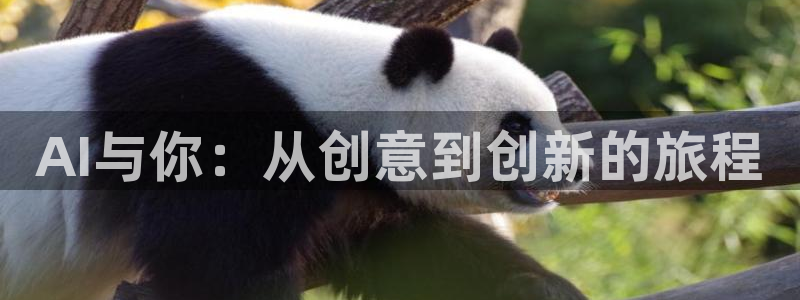 AI与你：从创意到创新的旅程
