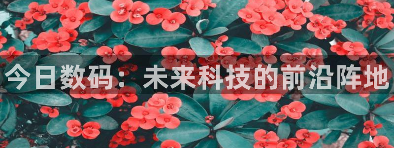 今日数码：未来科技的前沿阵地