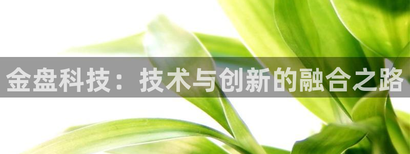 金盘科技：技术与创新的融合之路