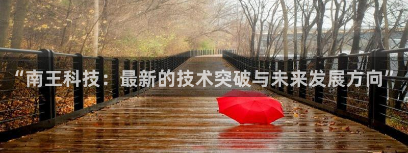 “南王科技：最新的技术突破与未来发展方向”