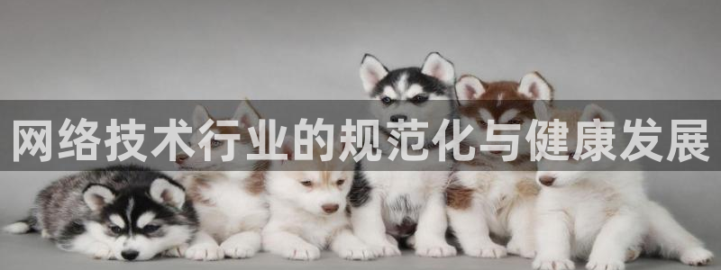 网络技术行业的规范化与健康发展
