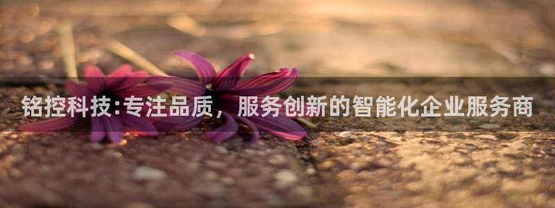 铭控科技:专注品质，服务创新的智能化企业服务商