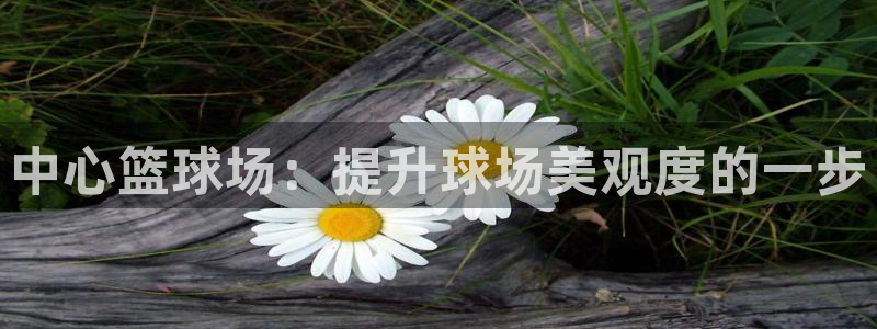 中心篮球场：提升球场美观度的一步