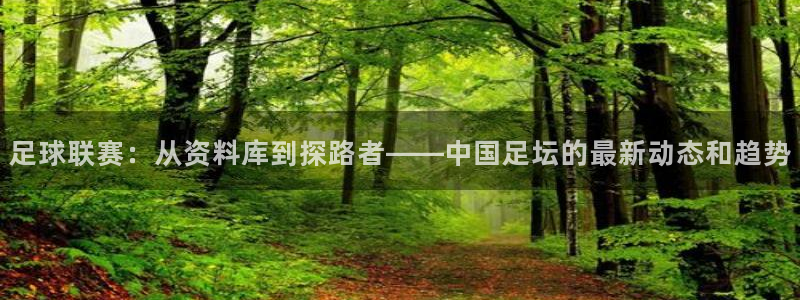 足球联赛：从资料库到探路者——中国足坛的最新动态和趋势