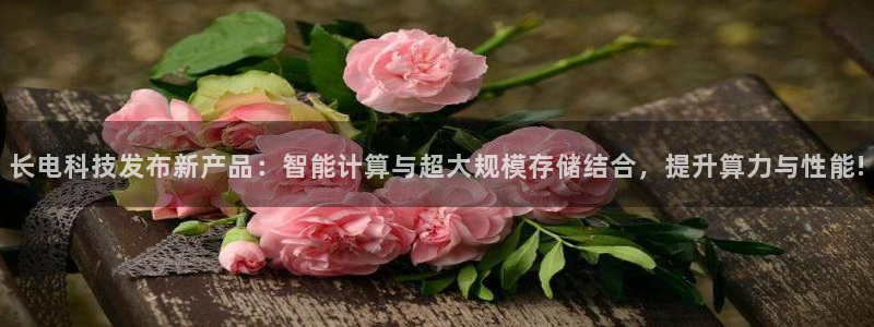 长电科技发布新产品：智能计算与超大规模存储结合，提升算力与性能!