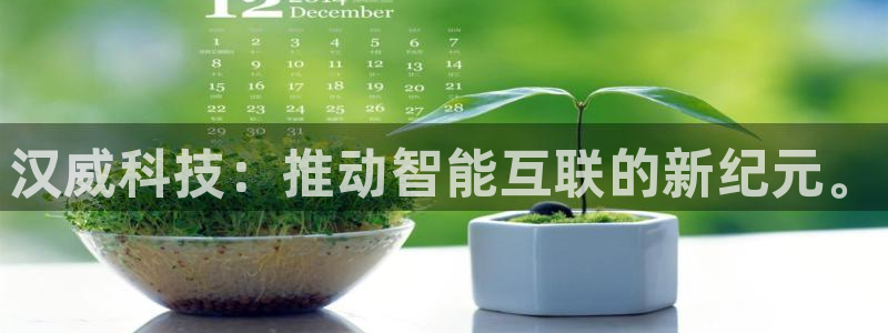 汉威科技：推动智能互联的新纪元。