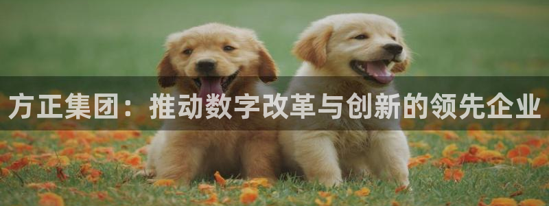 方正集团：推动数字改革与创新的领先企业